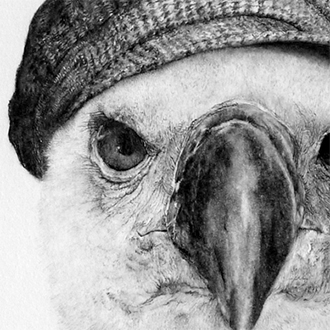 Pencil drawing of a vulture posed as a person